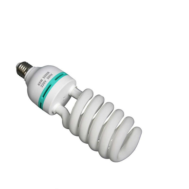 WI: 1 x 65W Energy Saving Bulb