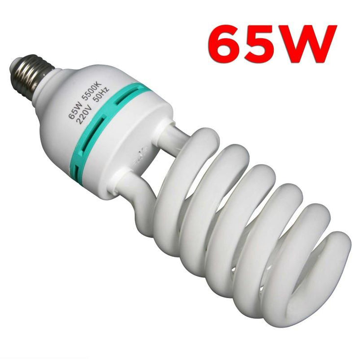 WI: 1 x 65W Energy Saving Bulb