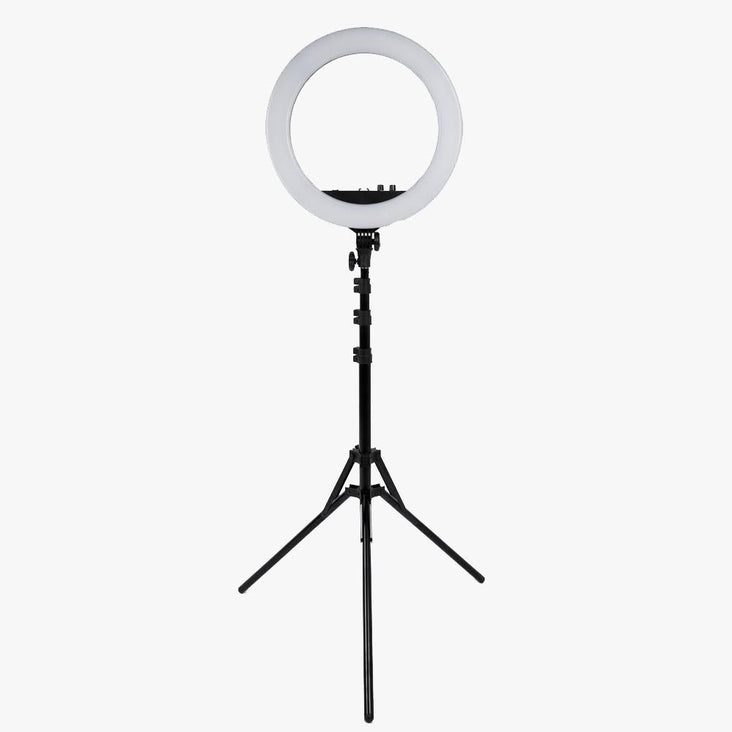 Portrait Headshot Lighting Kit With Pull Up White Backdrop & Ring Light - Bundle