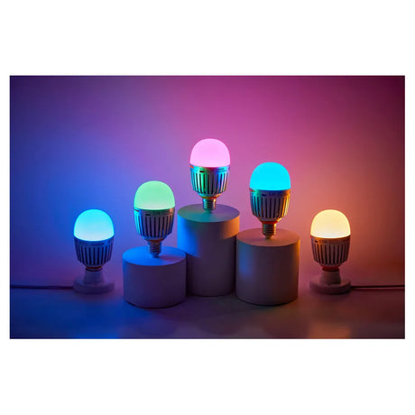 Light Bulbs and Holders