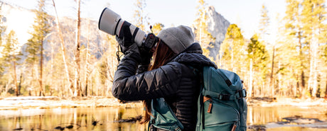 Wildlife Photographer