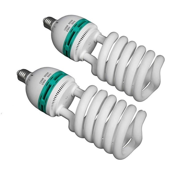 WI: 2 x 125W Studio Bulbs