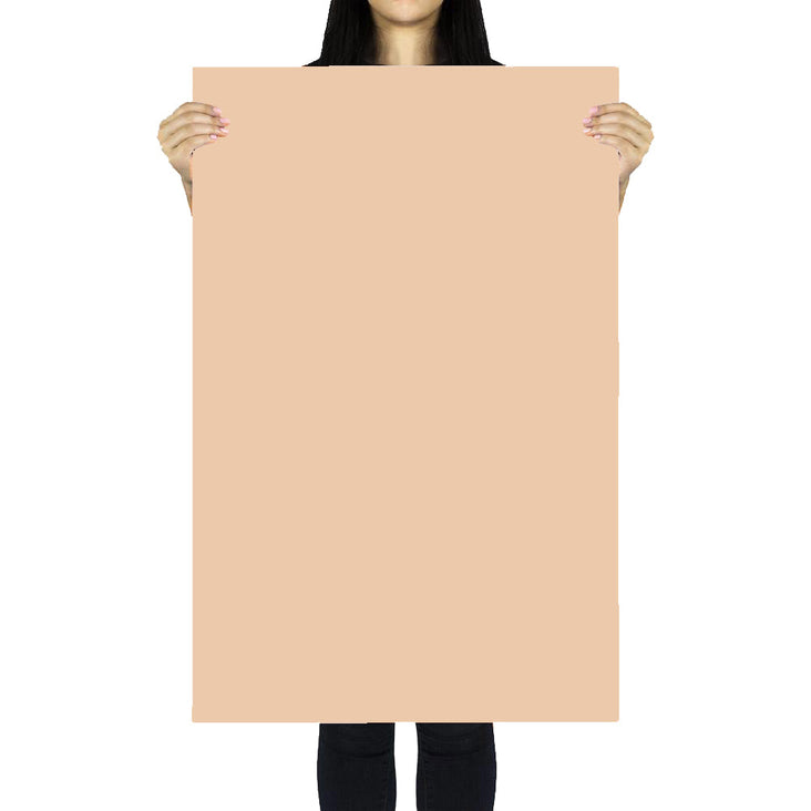 Flat Lay Instagram Multicolour Backdrop (56cm x 87cm) - Floresty Essentials - Bundle