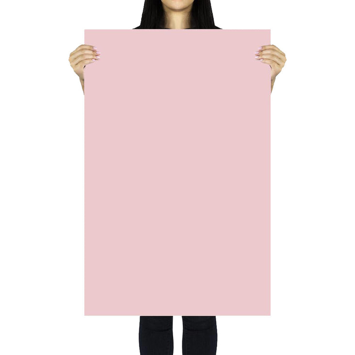 Flat Lay Instagram Multicolour Backdrop (56cm x 87cm) - Floresty Essentials - Bundle