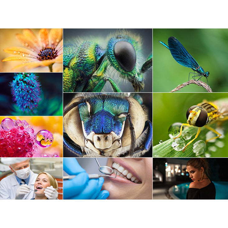 Fomito Mini Three-Head Macro On Camera Flash with Diffuser and Type-C Cable (Medium, 34.5cm)