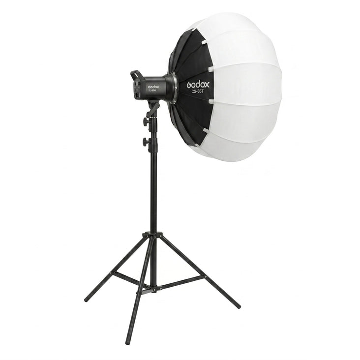 Newborn & Portrait Photography Studio Continuous LED Lighting Kit