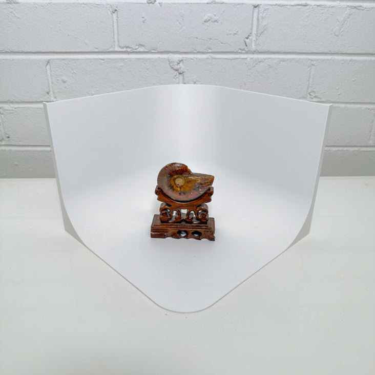 Spectrum Infinity Macro Studio 25cm Cyclorama - Bundle