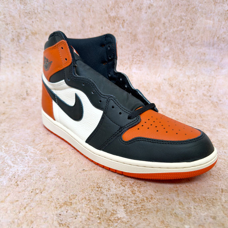 Spectrum Infinity Sweep Stand (Pair)