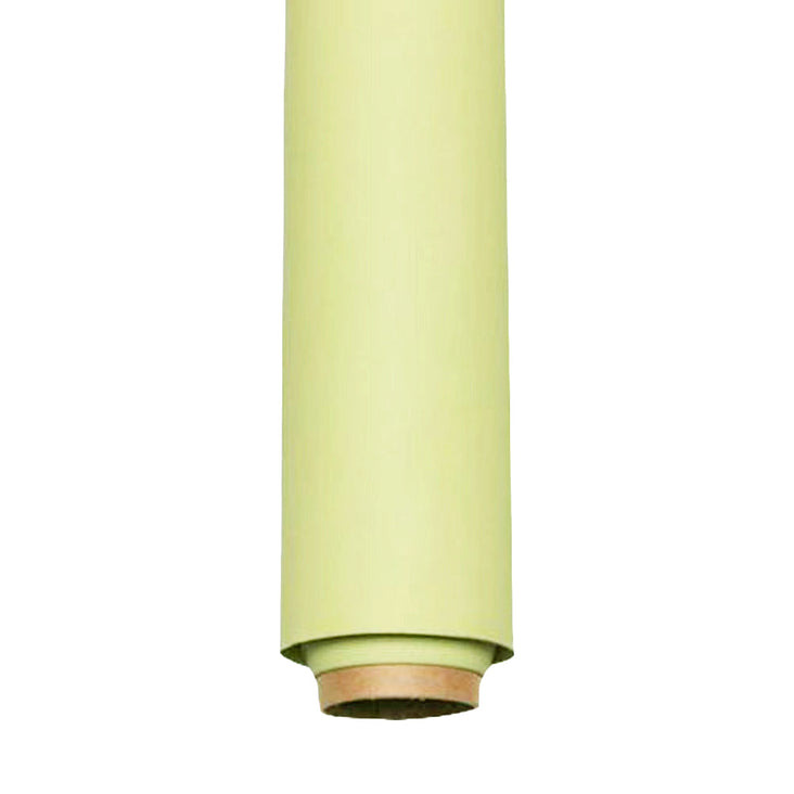 Spectrum Non-Reflective Full Paper Roll Backdrop (2.7 x 10M) - Smashed Avocado Green