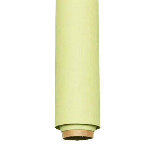 Spectrum Non-Reflective Full Paper Roll Backdrop (2.7 x 10M) - Smashed Avocado Green