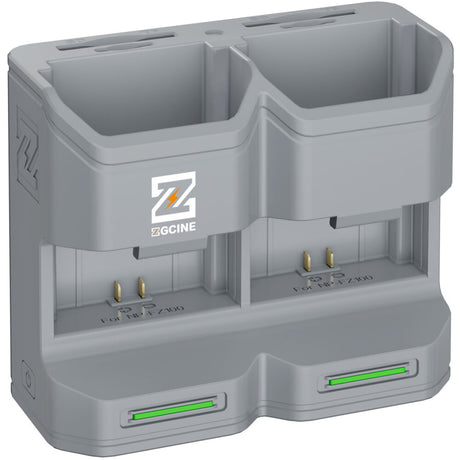 ZGCine PC2-FZ100 Travel Charging Case for NP-FZ100 Battery (Grey)