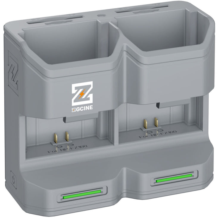 ZGCine PC2-FZ100 Travel Charging Case for NP-FZ100 Battery (Grey)