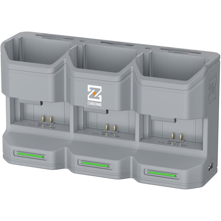 ZGCine PC3-FZ100 Travel Charging Case for NP-FZ100 Battery (Grey)