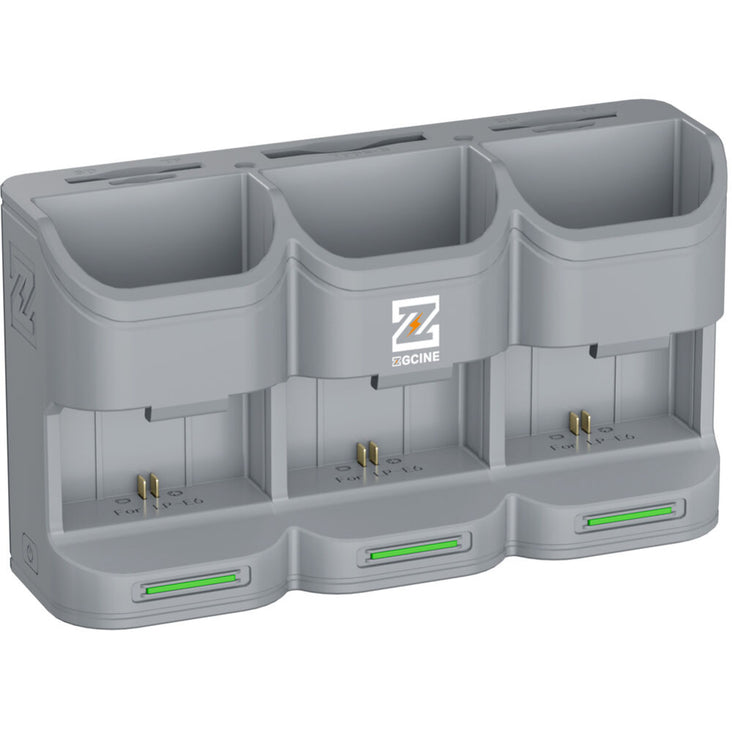 ZGCine PC3-LPE6 Travel Charging Case for LP-E6/N/NH/E6P Batteries (Grey)