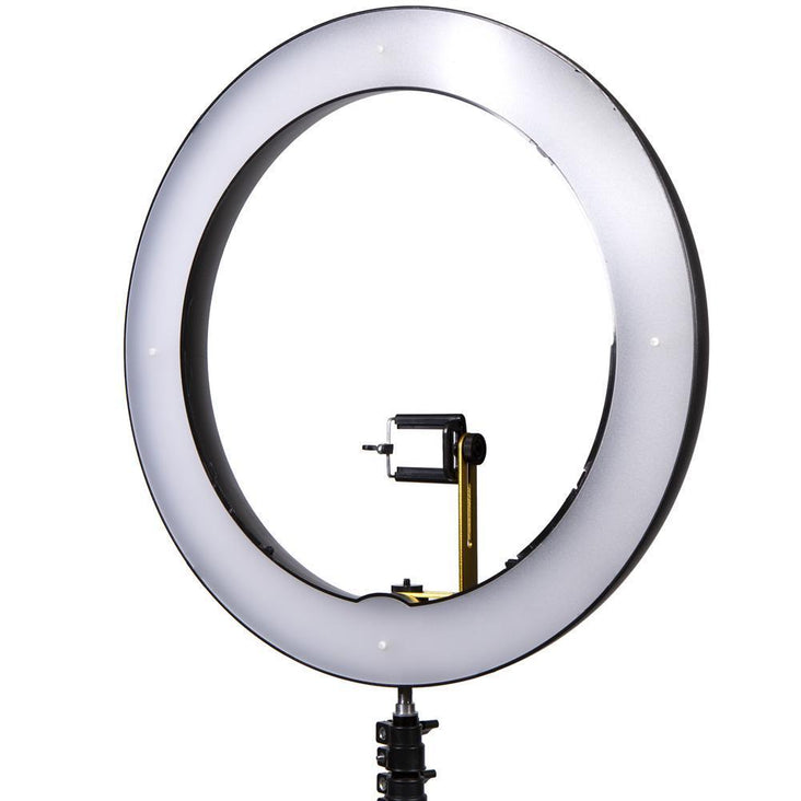 19" LED Ring Light Kit - Spectrum Aurora Gold Luxe II