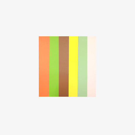 Foldio2 Plus Coloured Flat Lay Backdrop Set (Set B) - 28.9” x 15”