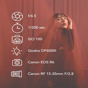 Godox DP600IIIV - Kit Flash Studio 600Ws, Température Couleur 5600K, Système Sans Fil 2.4G, Monture Bowens