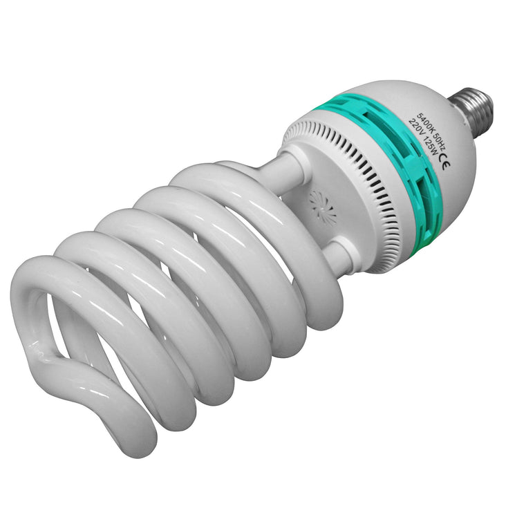WI: 1 x 125W Energy Saving Bulb